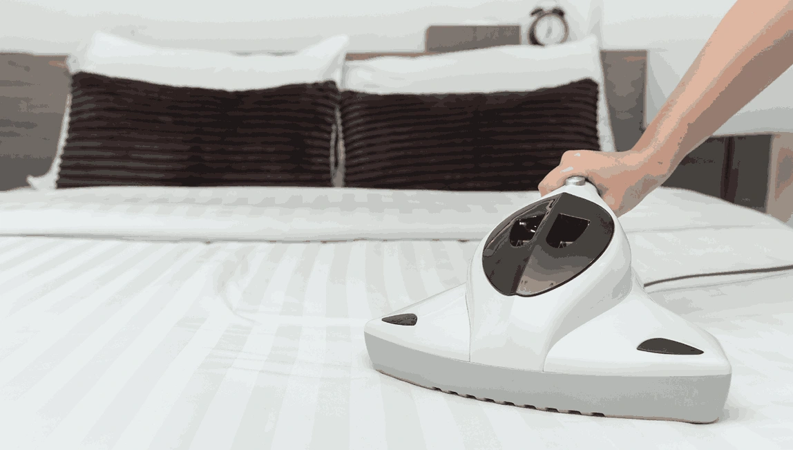 Professional Mattress Cleaning Elsternwick